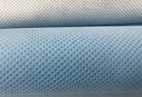 华池(PP)丙纶无纺布跟(PET)涤纶无纺布的区别